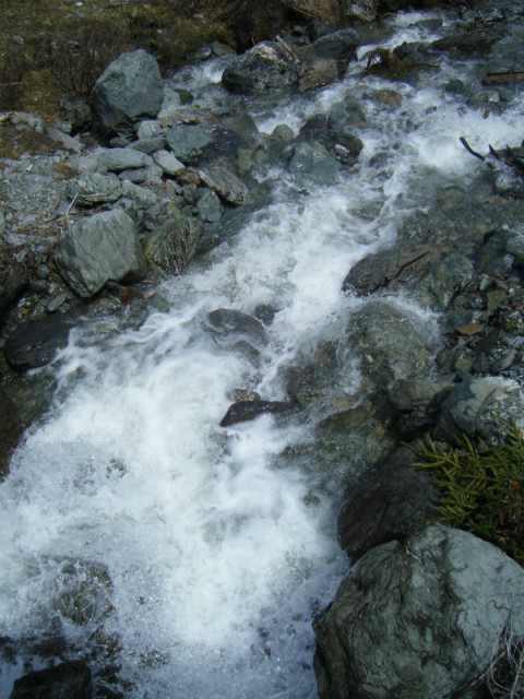 Saalalm/Hinterglemm
