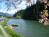 Neunbrunnen am Waldsee