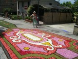 Bloemen in de straten en op de pleinen van Tuoro