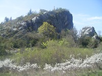 DSCF9768