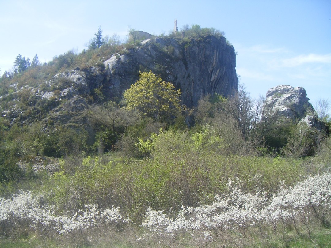 DSCF9768
