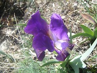 DSCF9769