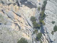 DSCF9807