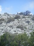 DSCF9812
