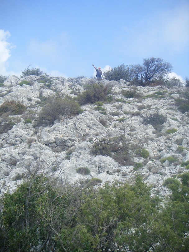 DSCF9812