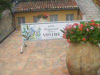 DSCF9823