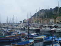 DSCF9845