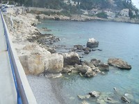 DSCF9854