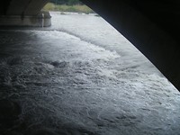 DSCF9871