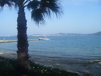DSCF0020