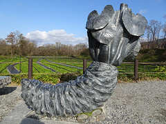 Vraag 9: wat is afgebeeld? Op het veld achter het beeld wordt dit gewas gekweekt.