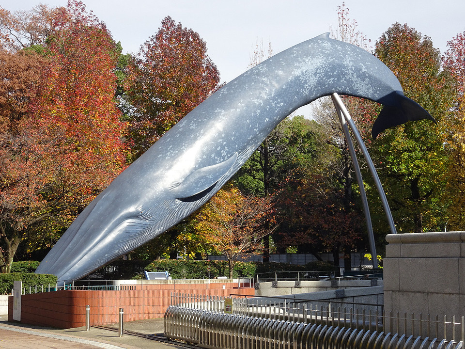 Ueno-park Tokio. Walvis stond op een menu. Japan jaagt dus niet alleen maar om onderzoek te doen