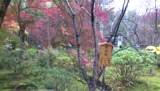 Kyoto, blik op de herfstige tuin bij het boedistische klooster Tenryu-ji