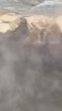 Japanse alpen: apen in een onsen (thermaal bad in Yudanaka)