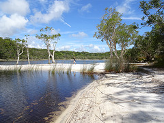 Poona Lake (bij Rainbow Beach)