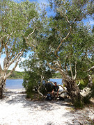 Poona Lake (bij Rainbow Beach)
