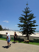 Burleigh, Gold Coast, wandelingetje met de hond
