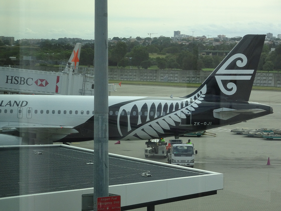 Airplane van New-Zealand