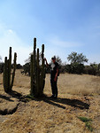 Teotihuacan. Tom met cactus