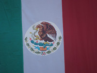 Beeltenis in het wapen (en de vlag) van Mexico. Zie de link naar de site over de Azteken