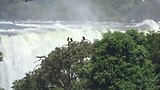Brazilië. Uitzicht op de watervallen vanaf Brazilië
