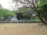 IMG_0050