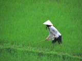 IMG_0161