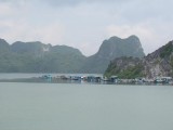 IMG_0219