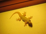 IMG_0229