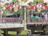 IMG_0257
