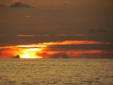 IMG_0102