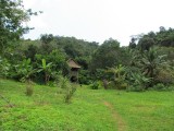 IMG_0119