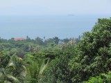 IMG_0121
