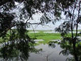 IMG_0221