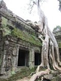 IMG_0373