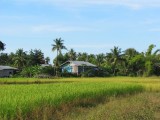 IMG_0053