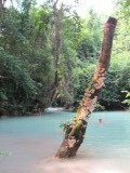 IMG_0414