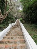 IMG_0418