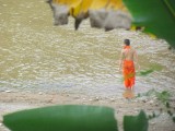 IMG_0462