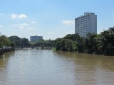 IMG_0545