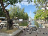 IMG_0548
