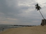 IMG_0110
