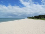 IMG_0214