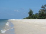 IMG_0218