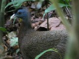 IMG_0069