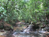 IMG_0079