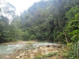 IMG_0083