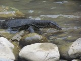 IMG_0085