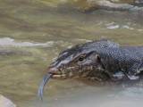 IMG_0089