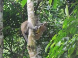 IMG_0114